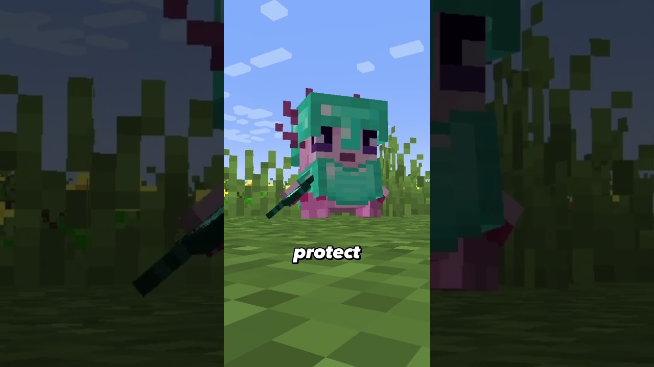 I gave my pets ARMOR and one became the HOLLOW KNIGHT #minecraft