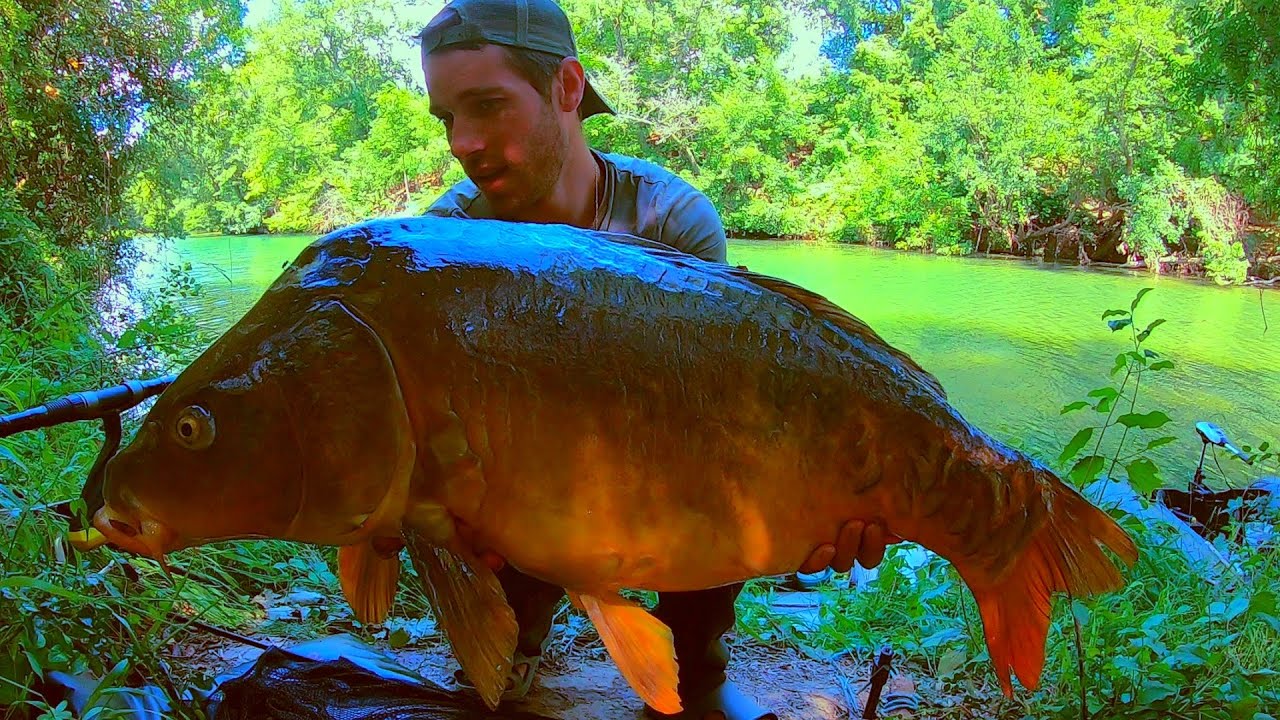 Mini Rivière -- Maxi CARPE... 