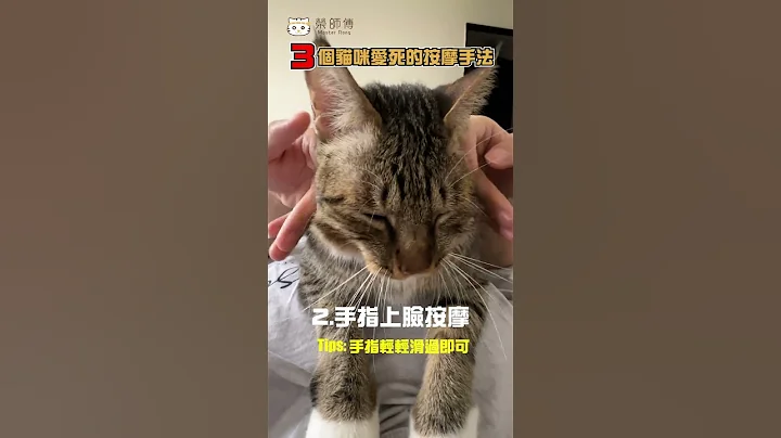 【荣师傅短片】用这3招，猫咪直接变黏人猫！ - 天天要闻