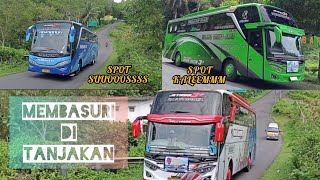 SUUOOOSSSS ❗Hunting Bus Pariwisata di Tanjakan Pertigaan Baron dan Depan Akses Masuk ke Pantai Baron