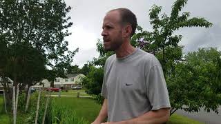 Suburban Farm Guidelines