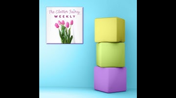 Back to Basics: The Clutter Fairy Reviews Organizing Fundamentals - The Clutter Fairy Weekly #240