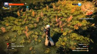 The Witcher 3: Wild Hunt physics bug