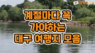 계절마다 가면 좋은 대구 여행지 모음 | 국내여행추천, 대구가볼만한곳, 대구여행추천