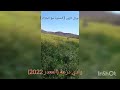 وادي درعة يكتسي رداء مختلفا ألوانه حيث إختفت كل التشكيلات الطبيعية تحت وشاح مزركش وادي درعة يكتسي رداء مختلفا ألوانه حيث إختفت كل التشكيلات الطبيعية تحت وشاح مزركش