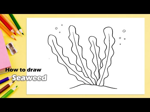 How to draw Seaweed - YouTube