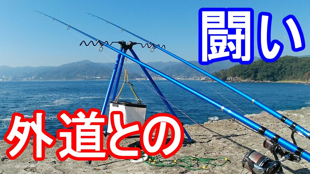 堤防 投げカワハギに挑戦 年11月 Youtube