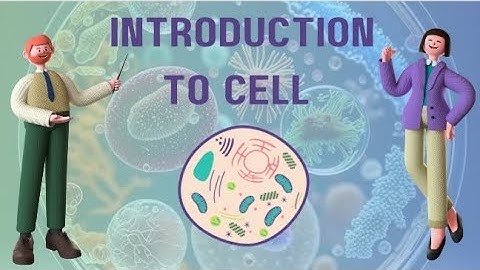 An introduction to cells : The basic building blocks of life.