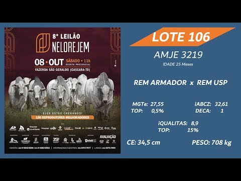 LOTE 106