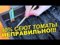 СЕЙТЕ ТОМАТЫ ТОЛЬКО ТАК!!!! САМЫЙ ПРОСТОЙ И ВЕРНЫЙ СПОСОБ