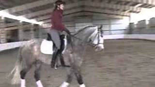 Lucinda dressage training level test 2 ...