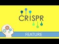 Genome editing with crispr  training the next generation of nobel prize winning scientists