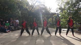 Texas Zobha - Performance at Umlauf Family Day November 2019