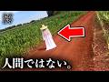 常識では一向に説明がつかない映像6選