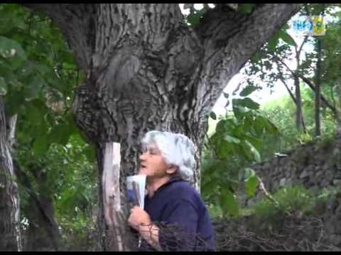 ასპინძის რაიონი