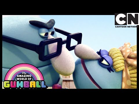 إنقاذ زواج غامبول كرتون نتورك 