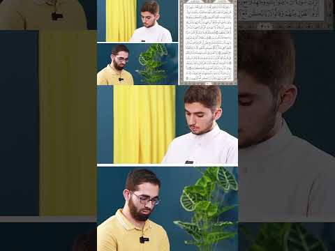 فقرة عدد الآيات صعبة جد ا ولكن ها ليست صعبة على حف اظ كتاب الله المتقنين الماهر اكسبلور Quran