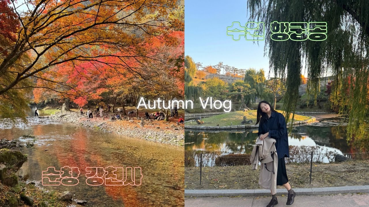 가을 일상 브이로그 | 부모님과 순창 강천사 | 단풍맛집 | 순창 미소식당 | 제일 애정하는 행궁동 나들이 | 가을 제대로 즐겼다 .. 🤎