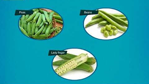 Incredible Science Class 5 - Chapter 1 - Page 10