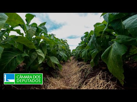 Vídeo do evento a partir de 39:04