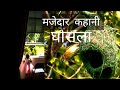 हिंदी कहानी घोंसला । Hindi Kahani  | story for Kids |  Moral Story for kids | shikshaprad kahaniyan