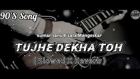 Tujhe Dekha Toh Ye Jana Sanam | Slowed + Reverb | kumar shanu song | YRF | T-Series | saregama music