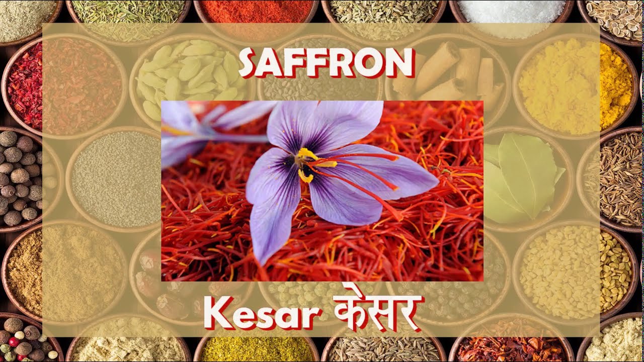 English names for Kitchen Spices | Spices names in English and Hindi