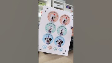 Cricut Stickers - Dog Pawty