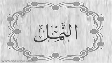 الشيخ توفيق الصائغ  - سورة النمل