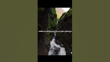 بی سوادنان نا آگاه میگویند چرا الله❤️ با ما سخن نمیگوید. سوره مبارک (البقره) آیه 118 سبحان الله
