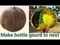 Bird house from dried bottle gourd diy craft ideagarden hangingdiy bird nest niru diy creation