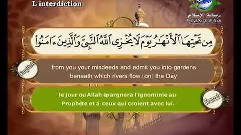 سورة التحريم بصوت سعد الغامدي Surat At Tahrim by Saad Al Ghamdy