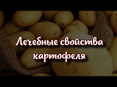 Ученые назвали лечебные свойства картофеля