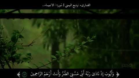 "وايوب إذ نادى ربه" تلاوة رائعة للقاريء وديع اليمني❤️