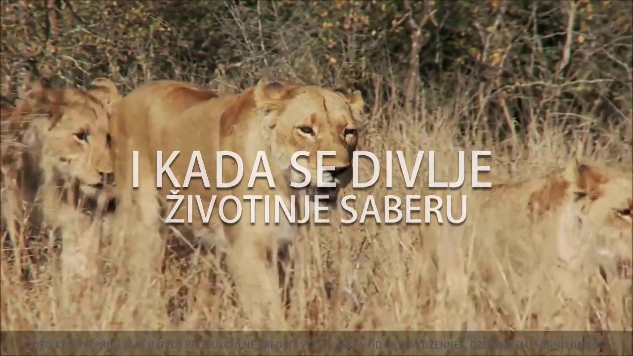 Emocionalno i snažno učenje Kur'ana ᴴᴰ┇Tvoj podsjetnik