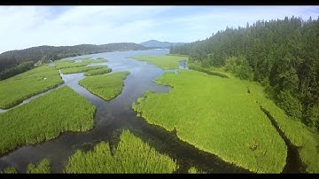 X PlusOne Flight Montage 1