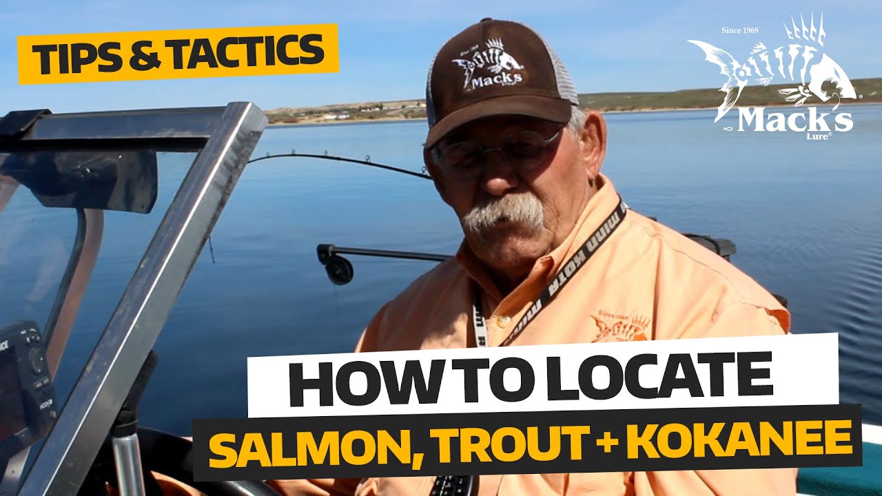 Tips & Tactics | How to Locate Kokanee, Trout & Salmon 