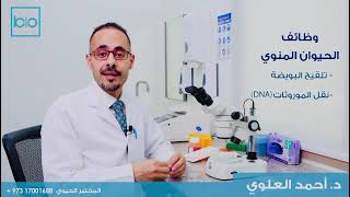 احد أسباب العقم عند الرجال / د.أحمد العلوي - المختبر الحيوي