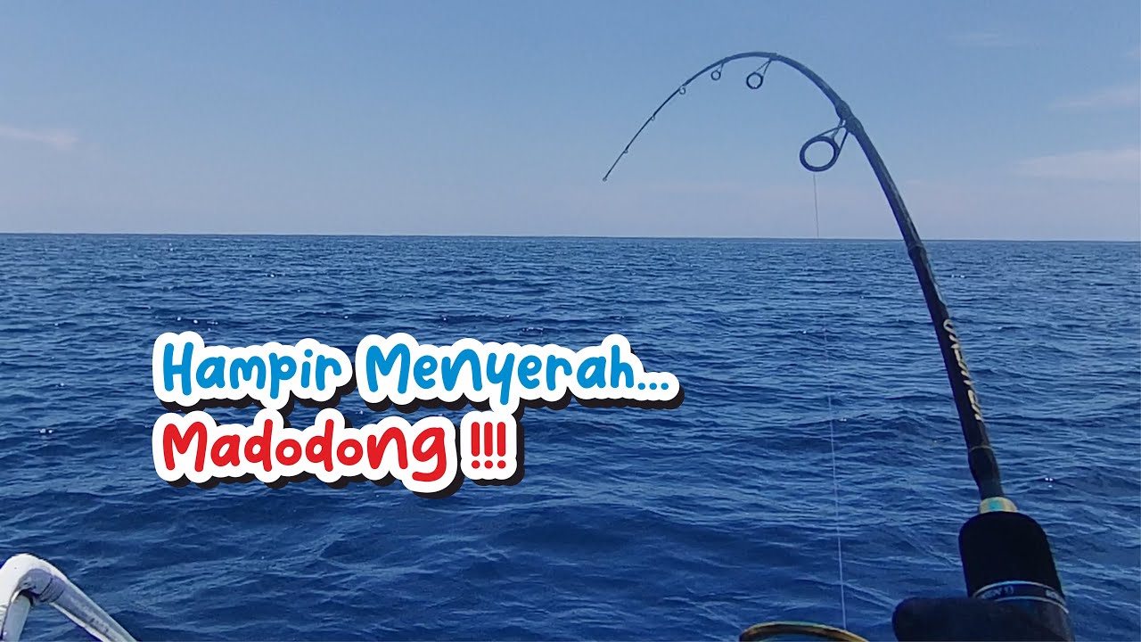 Mancing Pakai Umpan Hidup Biar Gak Kabur dengan Teknik Ampuh Mancing Pakai Umpan Hidup Biar Gak Kabur dengan Teknik Ampuh