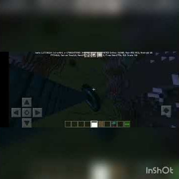 ladder and Ender pearl clush