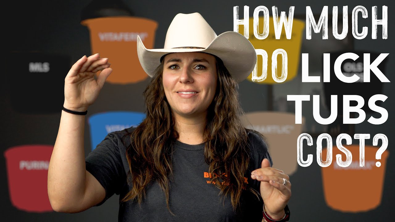 How much do lick tubs cost? YouTube