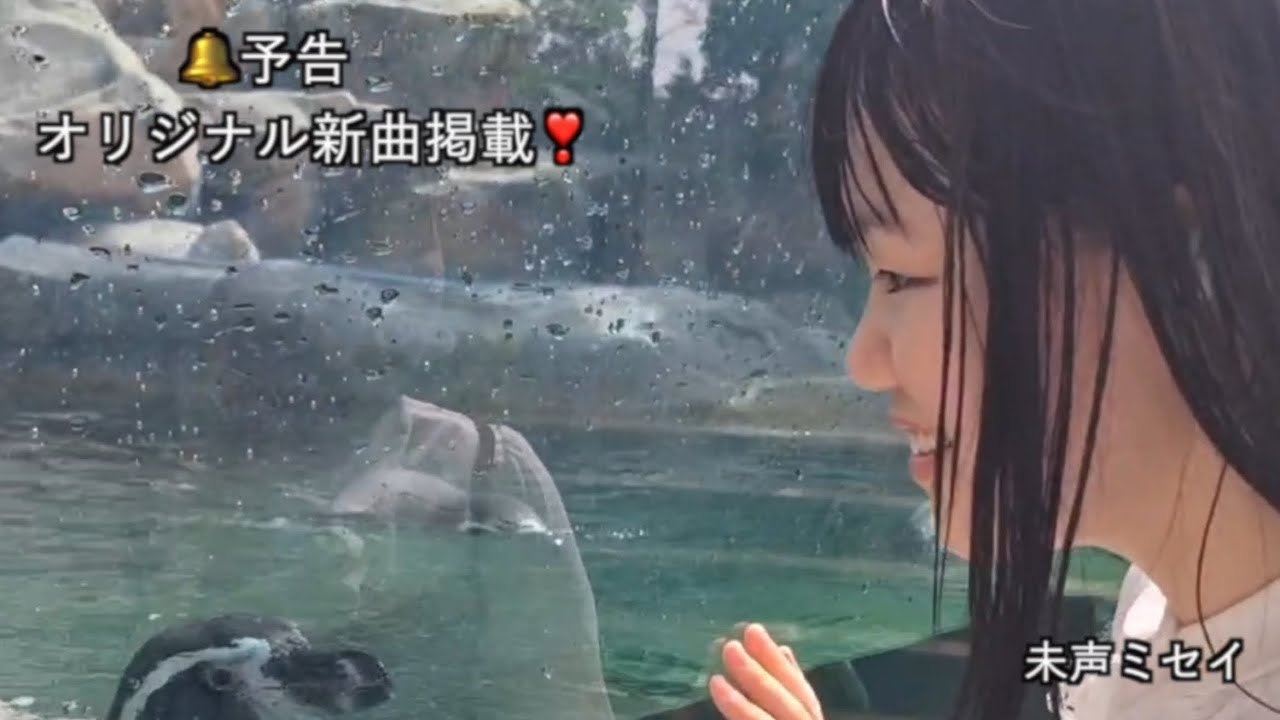 🔔予告🐧新曲掲載予定❣️🥹🥁💎