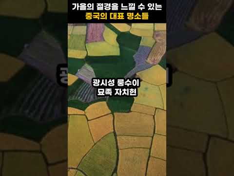 가을의 절경을 느낄 수 있는 중국의 대표 명소들 #중국여행 #가을여행 #중국명소 #중국단풍명소#중국여행추천 #중국가을절경 #중국국화정원 #가을명소 #가을