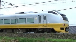 超レア!元フレッシュひたちE653系K306編成いなほ改造用回送!シンボルマークの海浜公園と水仙!