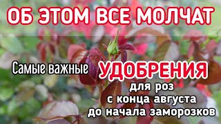 :  ,  #    -    #.