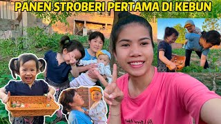 BAWA MAMA MERTUA PERGI PIJAT BADAN & PANEN STROBERI BERSAMA DI KEBUN