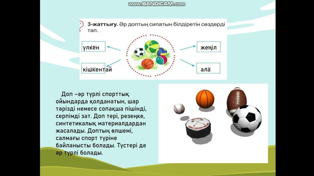 Бір жігіт Skype арқылы жігітпен жыныстық қатынас туралы сөйлескісі келеді.
