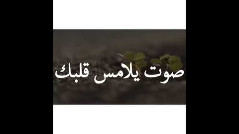 اسلام صبحي آيات من سورة النمل🍃