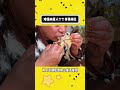 难怪内蒙人个个身强体壮 #羊肉汤 #科普一下 #美食科普 #万万没想到