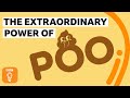 The extraordinary power of poo! | BBC Ideas